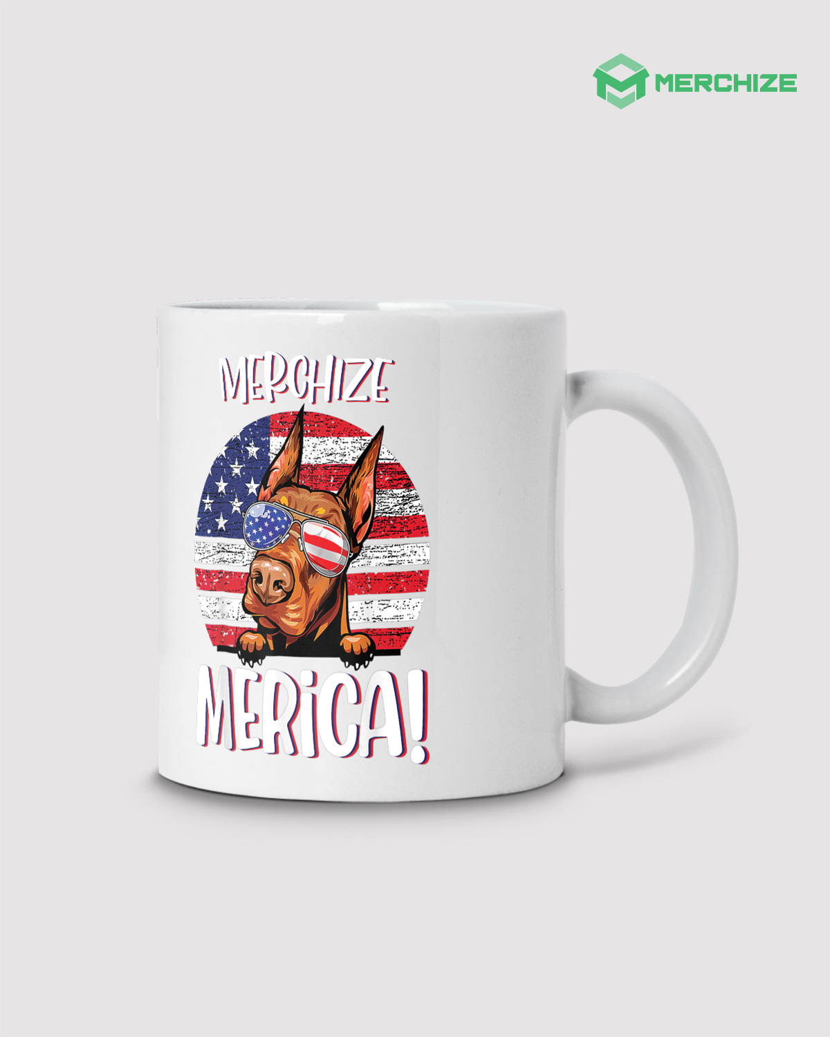 Ceramic Mug (11oz)