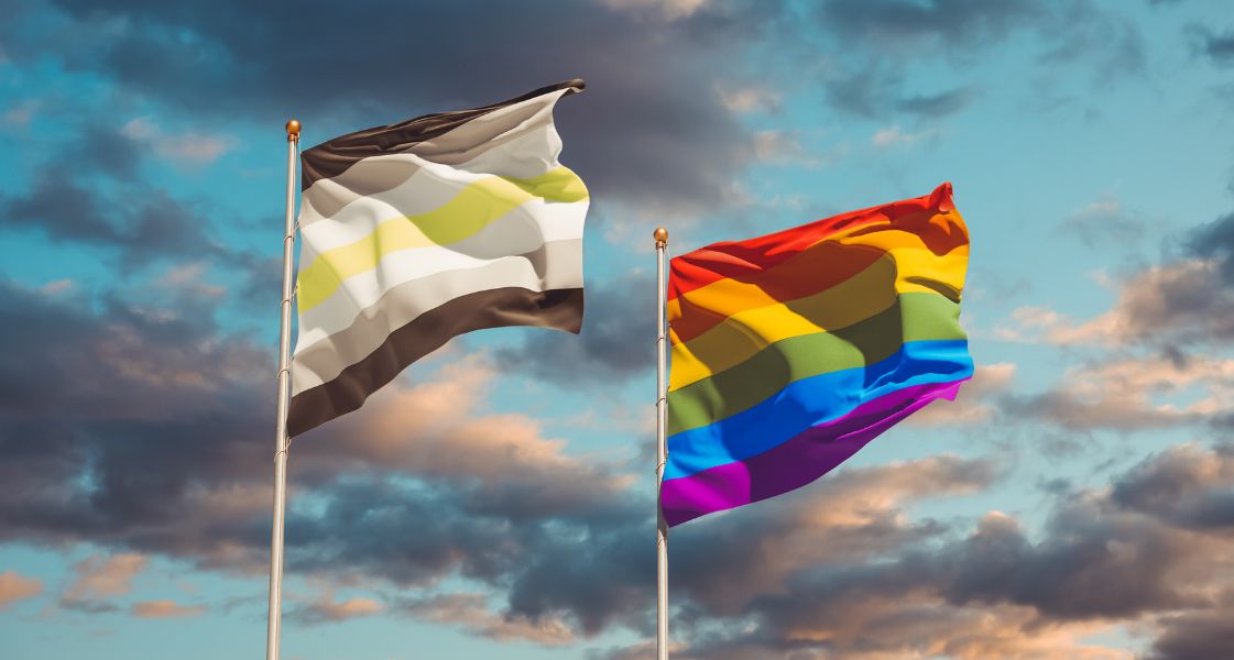 Agender Flag