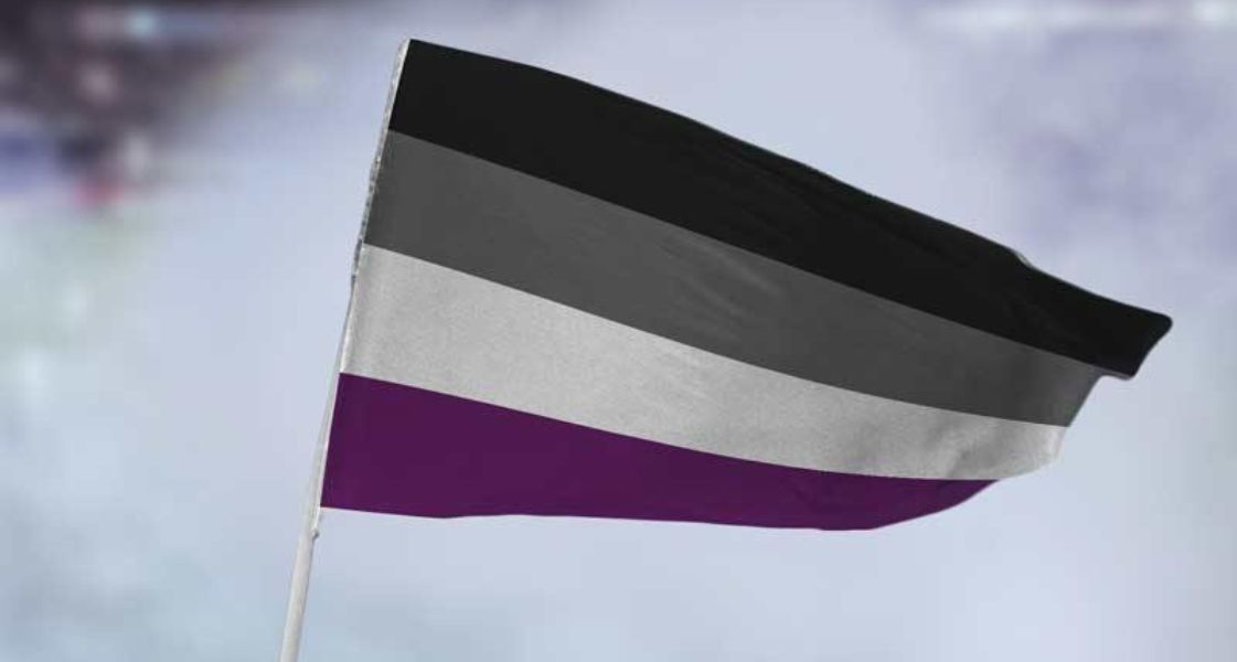 Asexual Flag