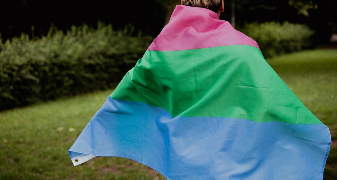 Polysexual Flag