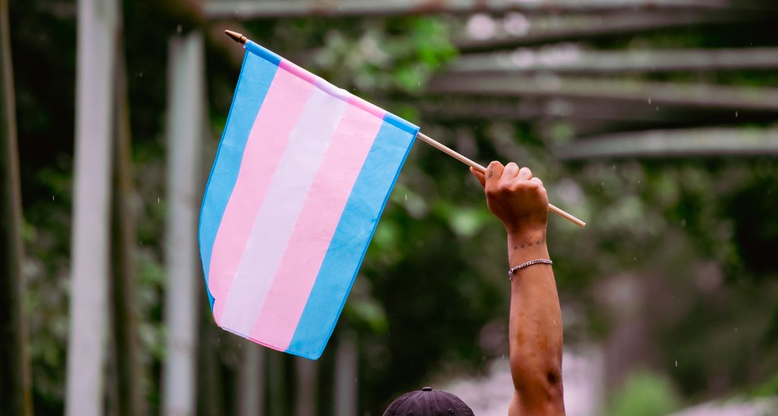Transgender Flag