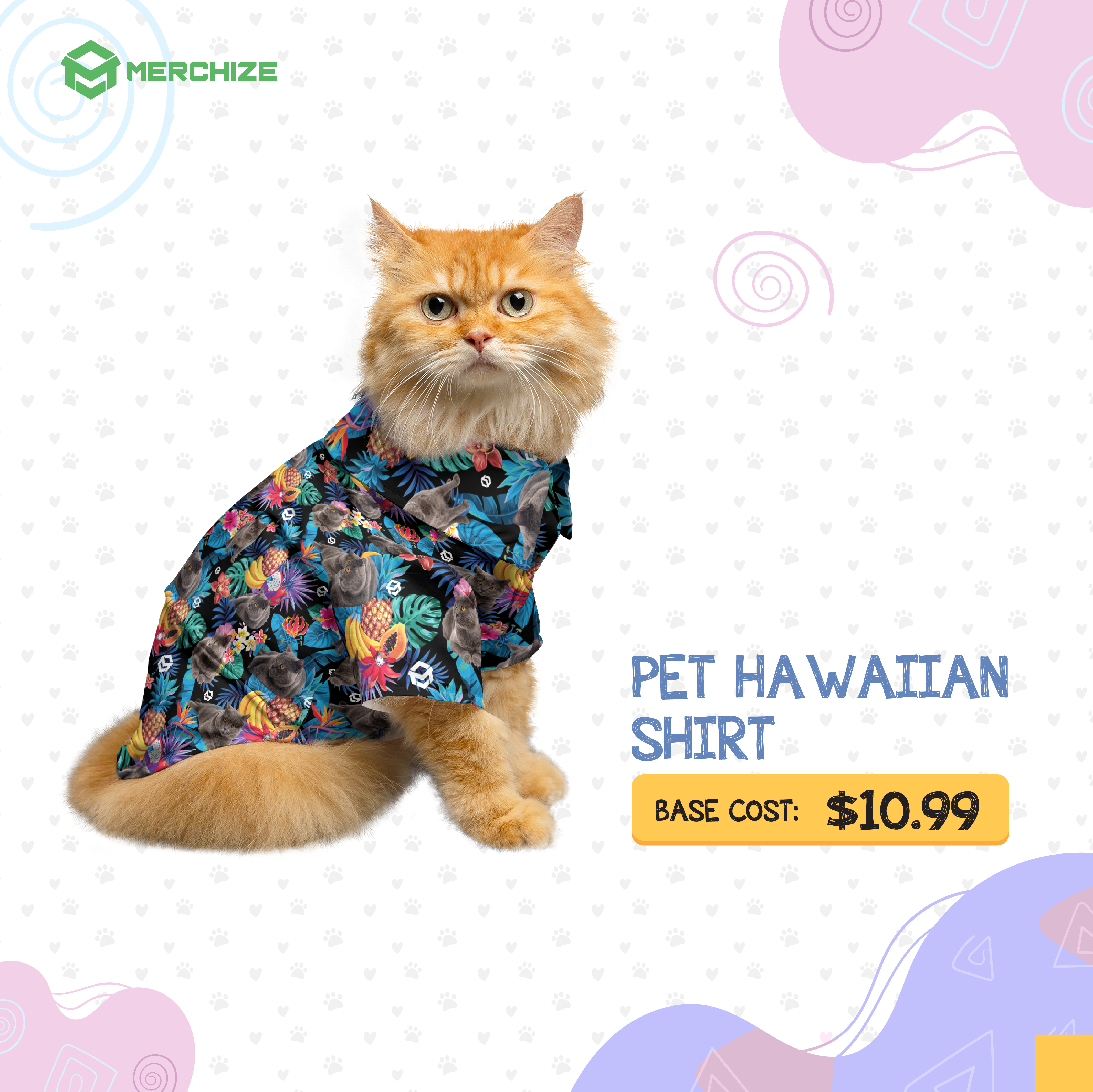 pet cat poster