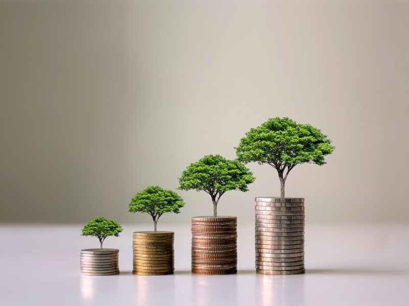 eco-friendly sustainable print on demand