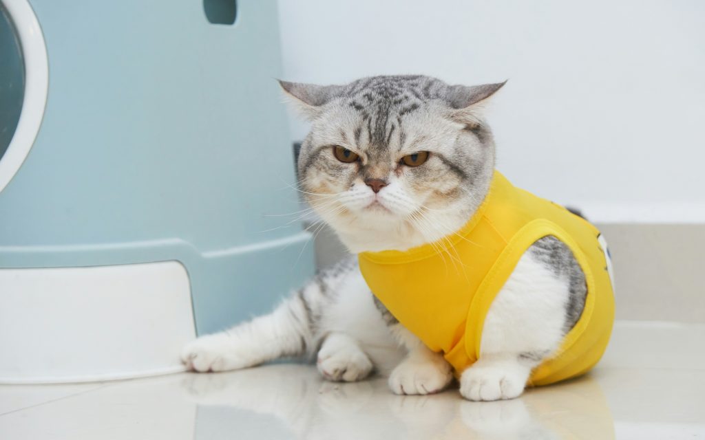 Products for Pet Niche