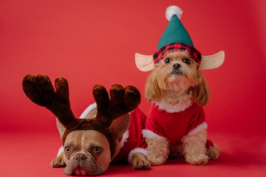 christmas print on demand products