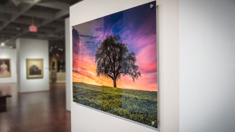 acrylic prints