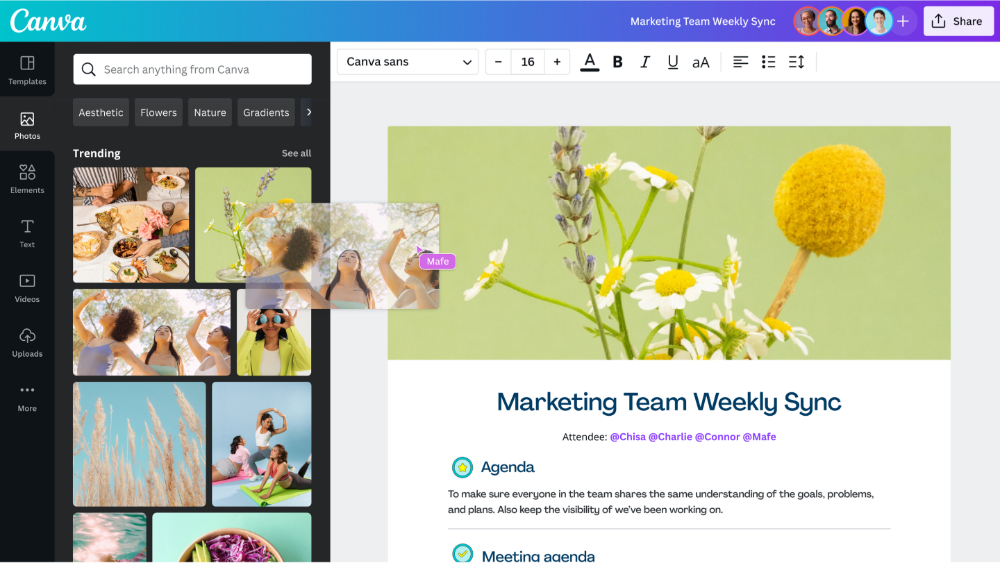 canva user-friendly interface
