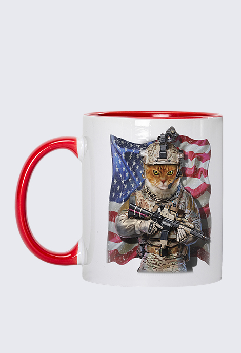 Accent Mug (11oz) (Made In AU)