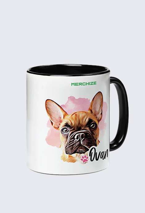 Accent Mug (11oz) (Made in US)