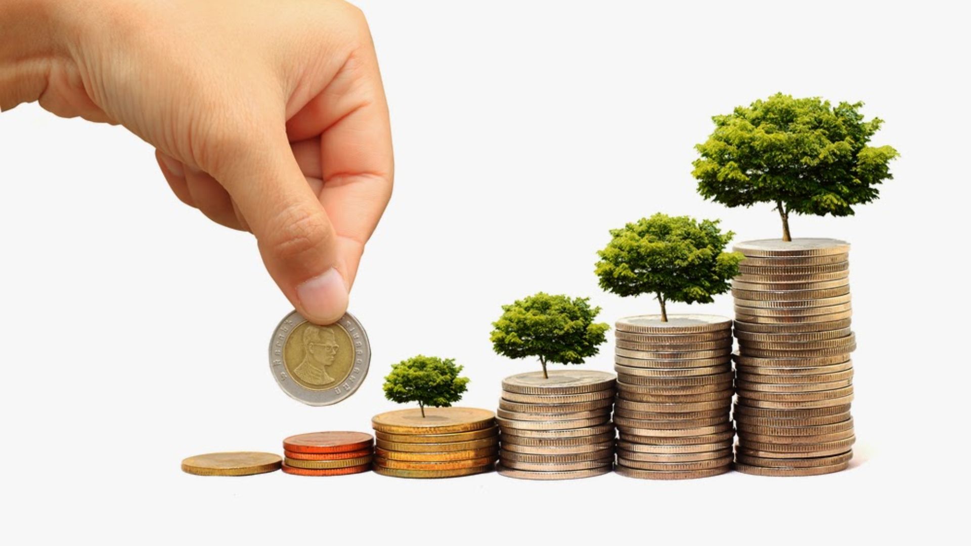 Cần bao nhiêu vốn để bán áo thun trên Shopify