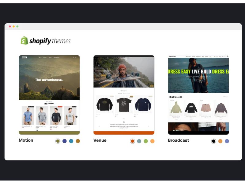 Shopify-themes-fees-on-shopify