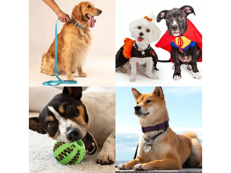 Personalized-pet-accessories