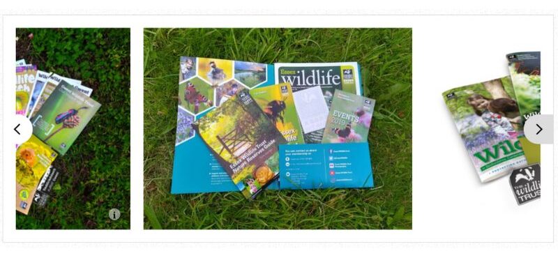 the-wildlife-trusts-consistency