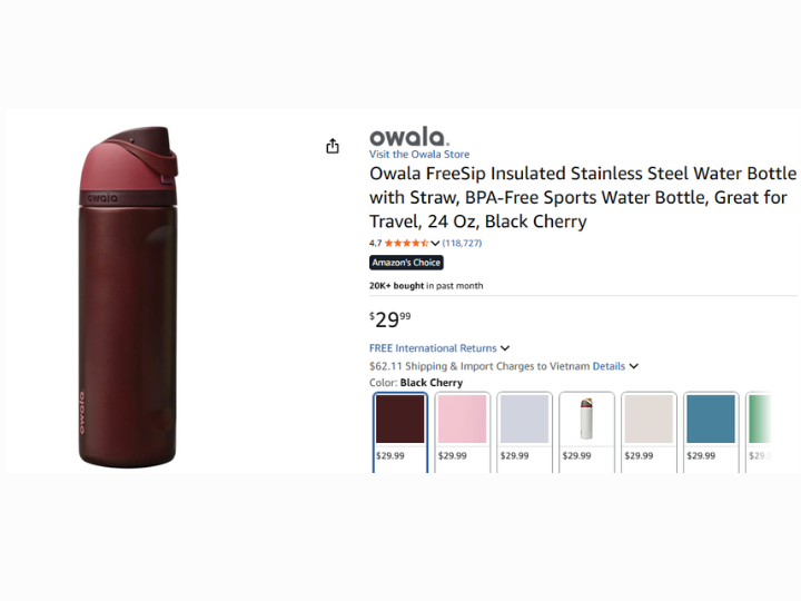 Insulated Stainless Steel Water Bottle