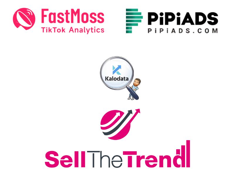Leverage the power of third-party Tiktok trending products analytics tools