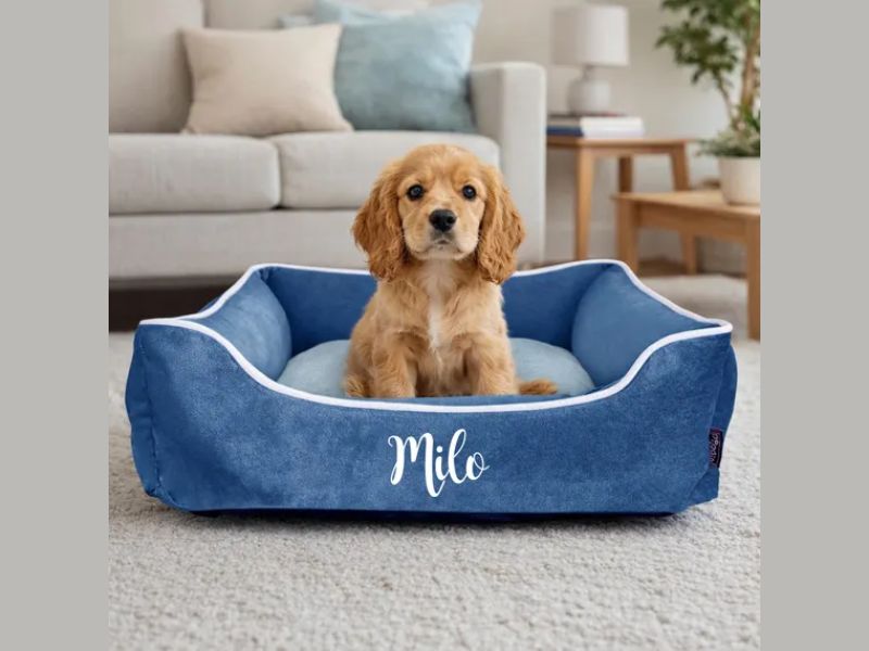 Custom pet bed