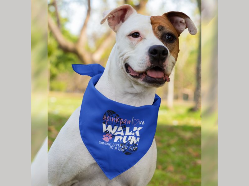 Pet bandana