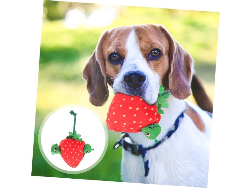 Plush chew toys