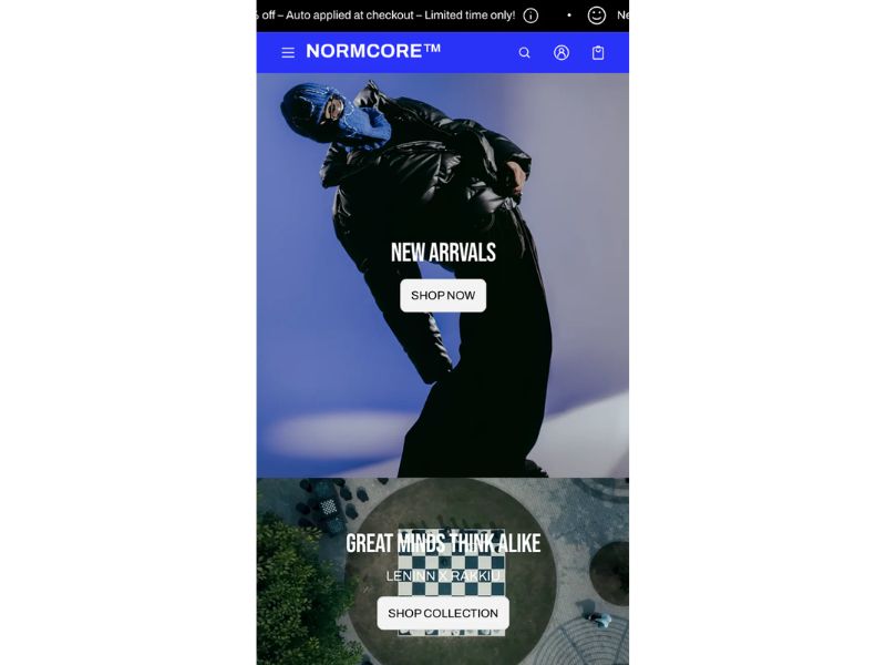 Subtle theme shopify