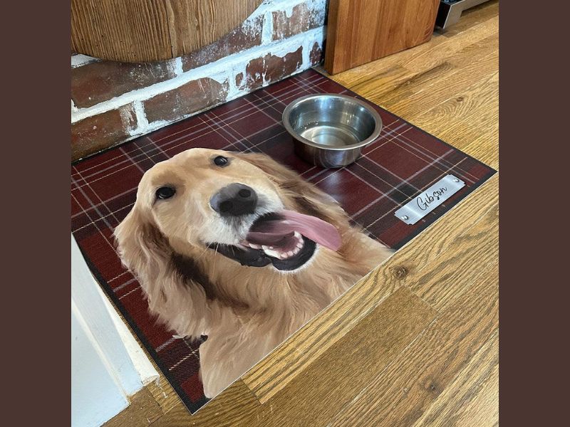 custom pet mat
