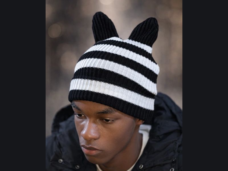 Animal ears beanie