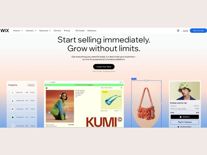 ecommerce platform Wix