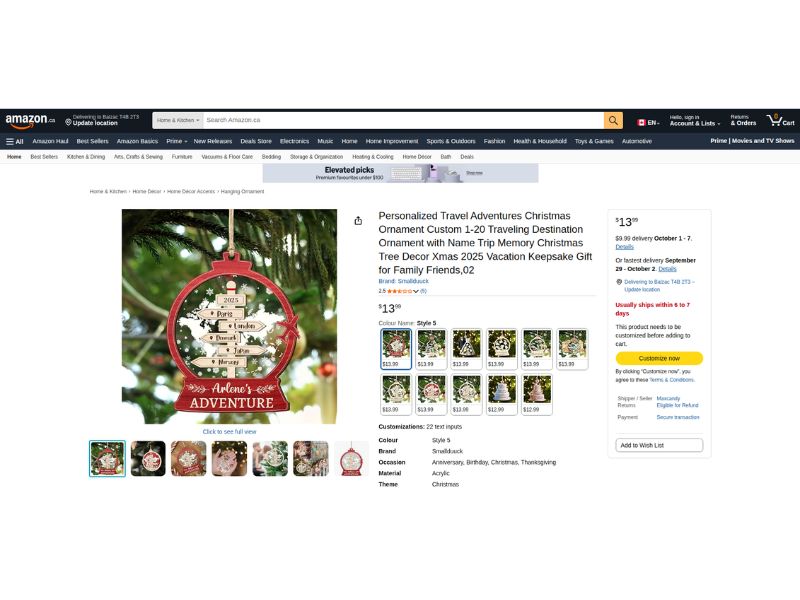 Travel memories Christmas ornament niches