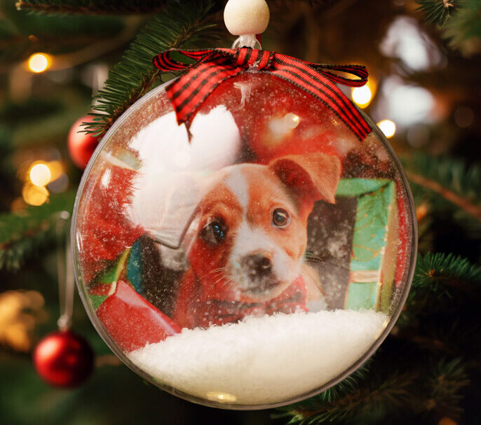 personalized pet ornament